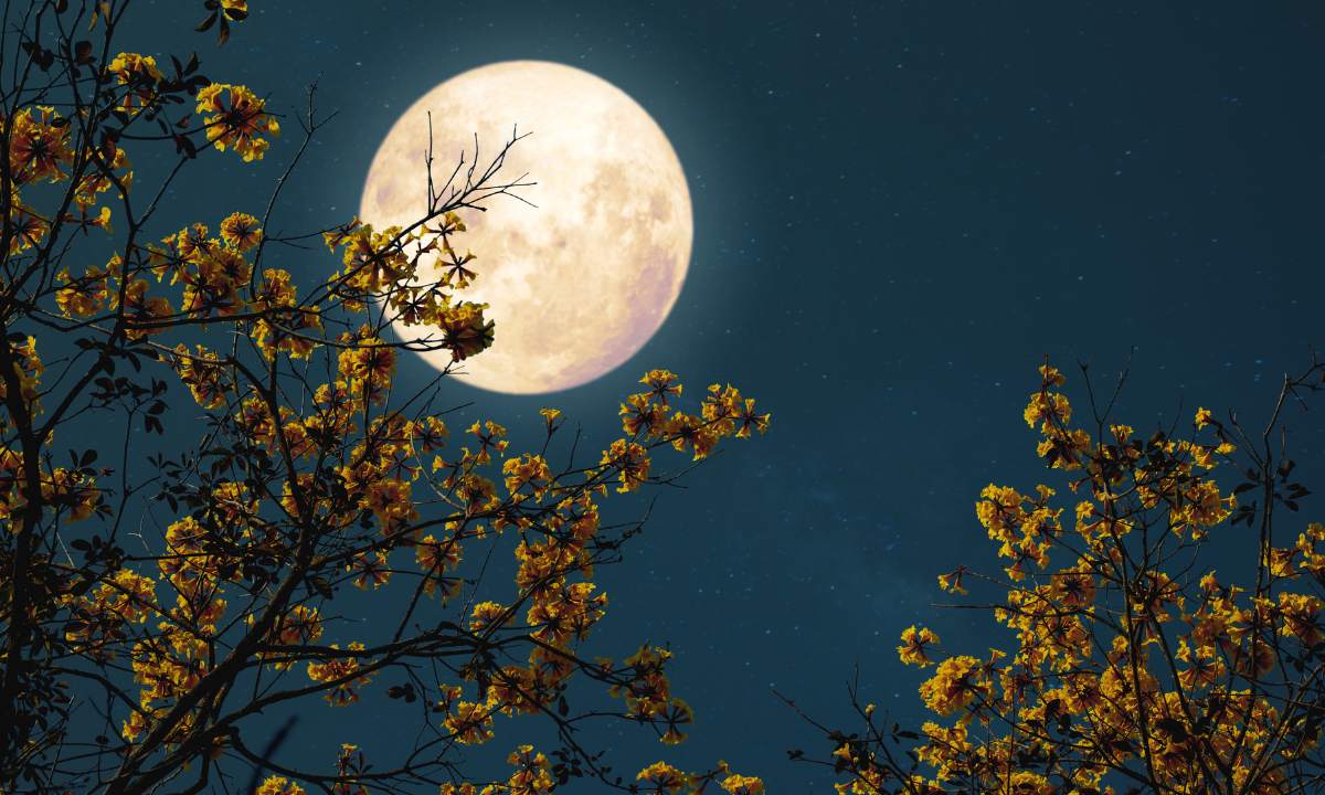 What Are The Different Types Of Full Moon?