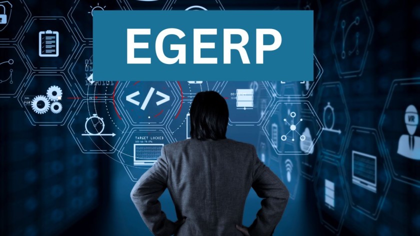 Streamlining Operations: Unpacking the Benefits of EGERP Software